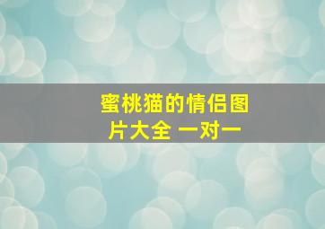 蜜桃猫的情侣图片大全 一对一